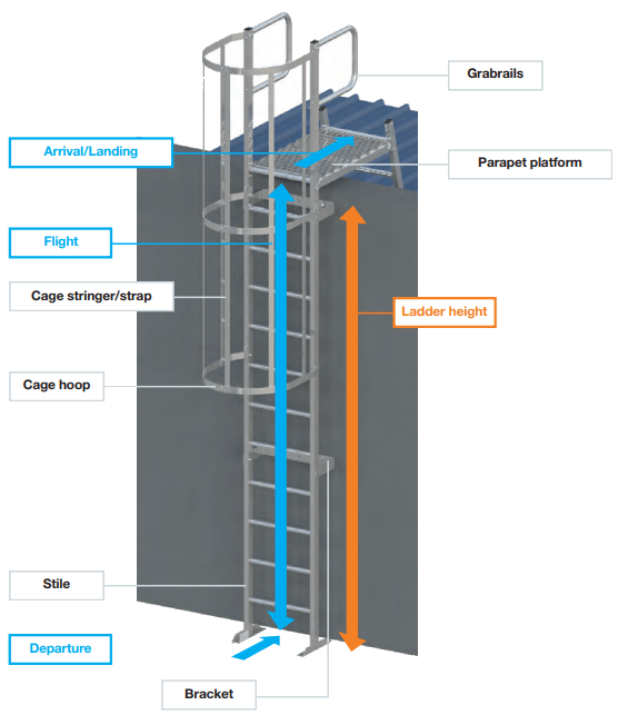 Washington Industrial Roofing offering Roof Katt Ladders across Durham